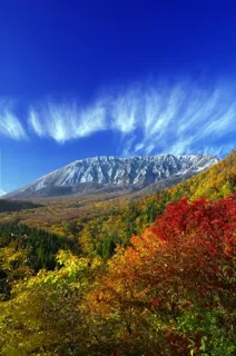 【紅葉・見ごろ】奥大山 鍵掛峠