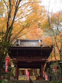 【紅葉・見ごろ】龍蔵寺