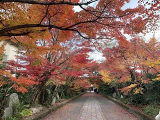 【紅葉・見ごろ】龍福寺
