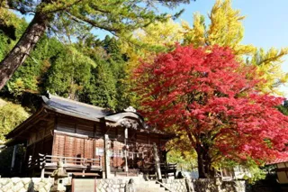 【紅葉・見ごろ】徳山神社