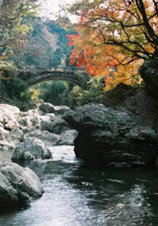 【紅葉・見ごろ】美甘渓谷