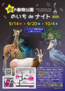 夜の動物公園　のいちdeナイト2025「のいちdeハロウィンナイト」（10月4日）