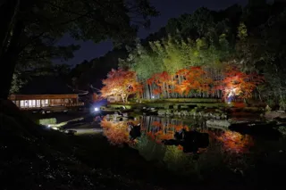 常栄寺雪舟庭秋のライトアップ~光で描く雪舟の世界~