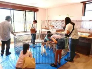広島県動物愛護センター 犬の譲渡会（10月）