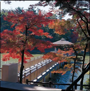 【紅葉・見ごろ】東公園