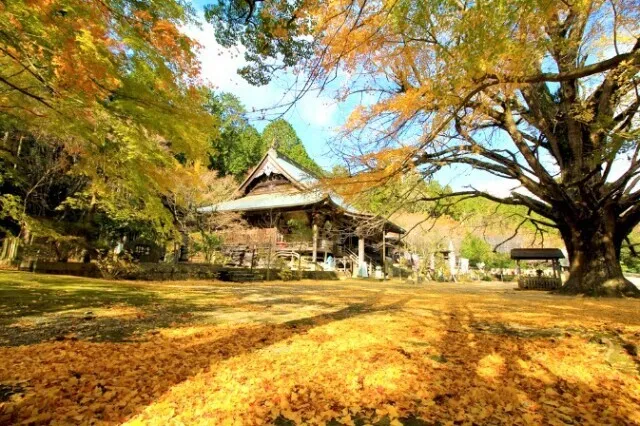 【紅葉・見ごろ】大山寺