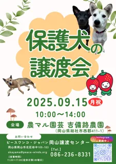 農マル園芸譲渡会（9月）