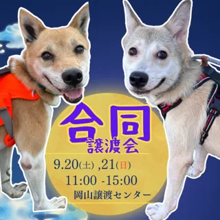 合同譲渡会（9月）