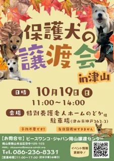保護犬の譲渡会(10月)