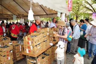 第33回巨峰の王国まつり