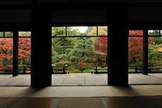 正伝永源院 秋の庭園特別公開