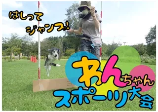わんちゃんスポーツ大会