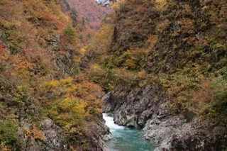 【紅葉・見ごろ】五十沢渓谷