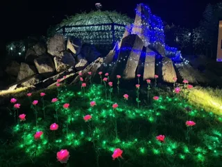 エコパーク水俣バラ園イルミネーション