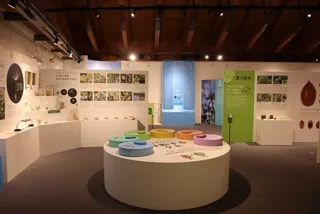 企画展「こんにちは、タネです。」