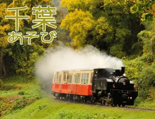 トロッコ列車で行く！ 観光ガイドと歩く紅葉の養老渓谷ハイキング