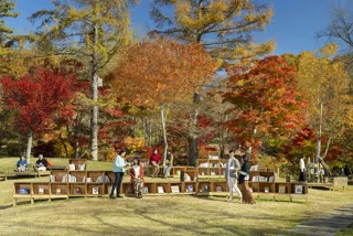 軽井沢 紅葉図書館