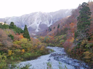 大山秋色週間