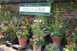 寄植えの芸術展