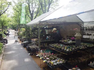 秋の植木市（靱公園）