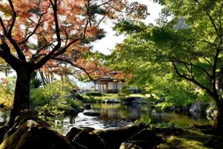 【紅葉・見ごろ】仙巌園