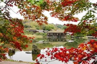 【紅葉・見ごろ】玄宮楽々園（玄宮園）