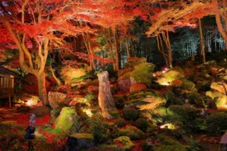 教林坊　紅葉ライトアップ2025