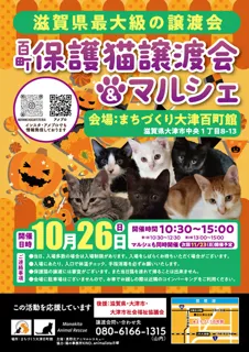百町保護猫譲渡会＆マルシェ（10月）