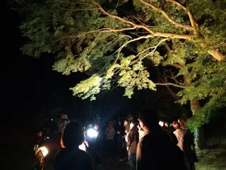 ナイトミュージアム