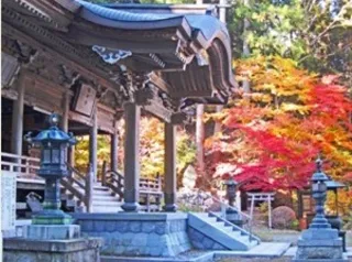 【紅葉・見ごろ】仲仙寺