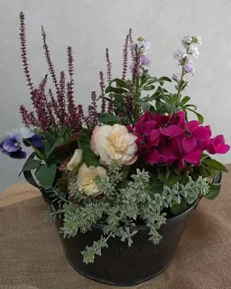 冬を楽しむ寄せ植え教室