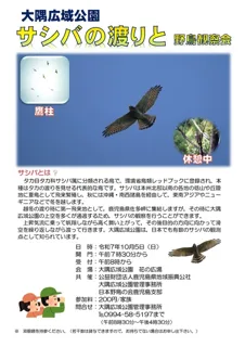 サシバの渡りと野鳥観察会