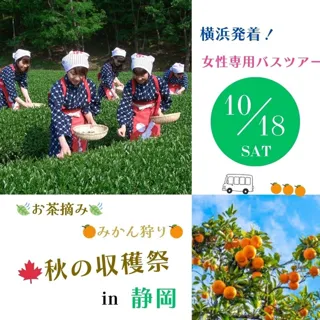 横浜発＆女性参加限定！秋の収穫祭 in 静岡お茶摘み娘に変身☆旬のみかん狩り食べ放題