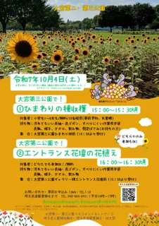 ひまわりの種収穫とエントランス花壇の花植え体験