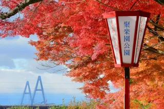 【紅葉・見ごろ】聚楽園