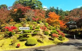 【紅葉・見ごろ】福泉寺
