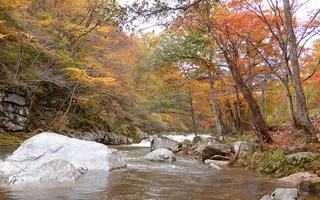 【紅葉・見ごろ】重湍渓