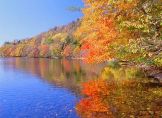 【紅葉・見ごろ】屈斜路湖