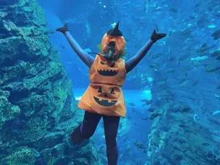 ハロウィンダイバー