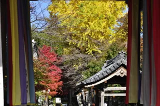 【紅葉・見ごろ】金生山　明星輪寺