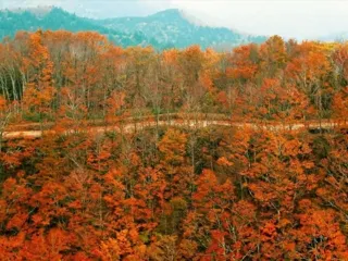 【紅葉・見ごろ】高清水トレイル