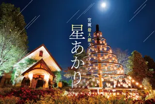 星あかり