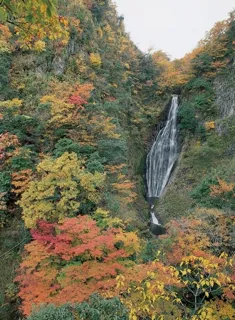 【紅葉・見ごろ】船上山