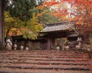 【紅葉・見ごろ】槇尾山西明寺