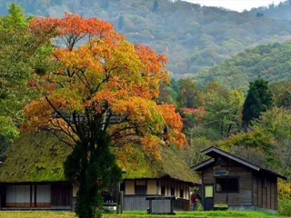 【紅葉・見ごろ】八幡高原