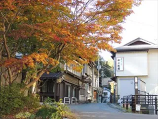 【紅葉・見ごろ】台温泉