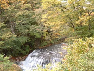 【紅葉・見ごろ】葛丸川渓流