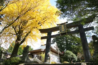 【紅葉・見ごろ】英彦山