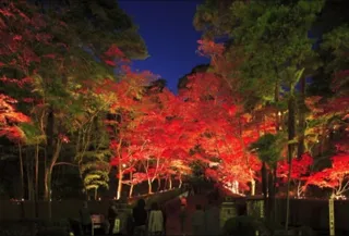 松雲山荘紅葉ライトアップ