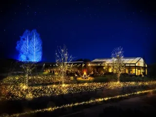 いばらきフラワーパークイルミネーション「Moonlight Rose Gaeden2025」